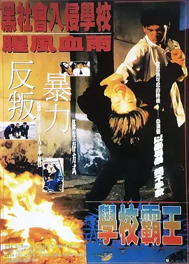 网红博雅