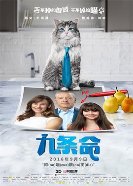 久久久久中文字幕亚洲精品
