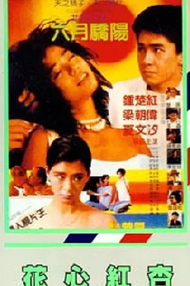 自拍视频在线播放