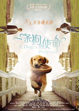 三级伦理电影在线播放