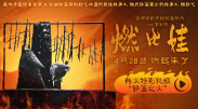 暴操在线观看网站