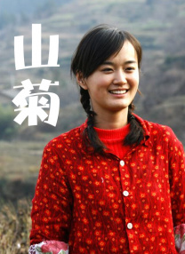 二区三区在线观看