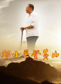一个放荡的大婶