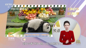 91视频完整版高清
